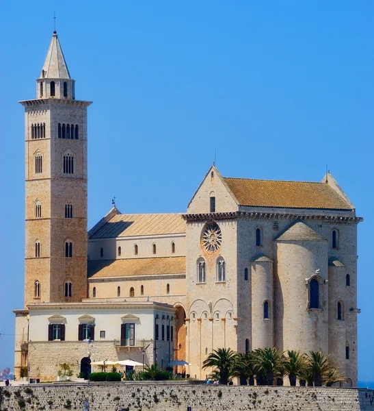 Een schilderachtig uitzicht van de kathedraal van Trani (Ba) — Stockfoto