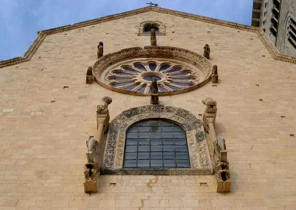 Ros fönster av viktigaste fasaden av katedralen Trani (Ba) — Stockfoto