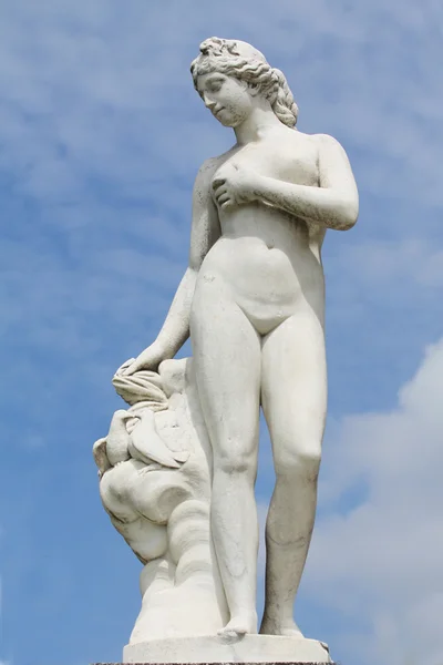 Neo-klassisk skulptur av en kvinnor新古典主义雕塑的妇女 Royaltyfria Stockbilder