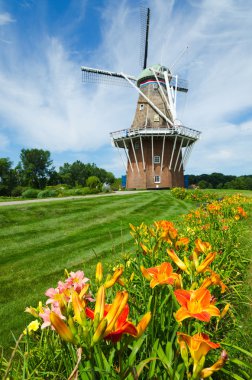 Summer flowers with historic windmill clipart