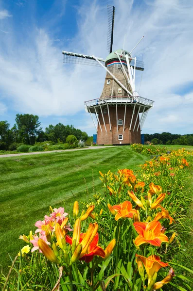 stock image Summer flowers with historic windmill