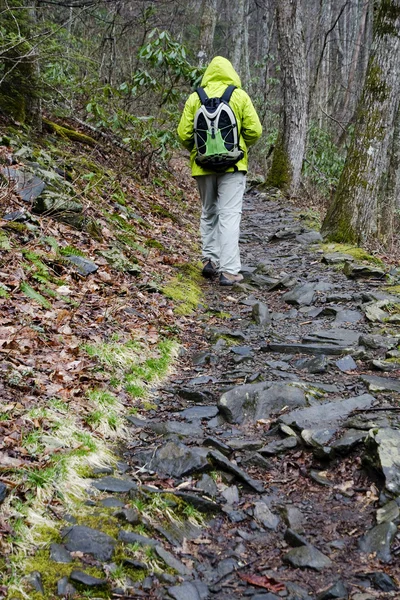 stock image Hiker on the mountain trail in rainy day