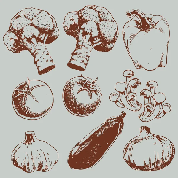 Croquis sur les aliments et légumes — Image vectorielle