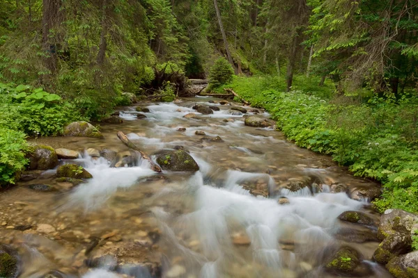 Potok w Tatrach. — Zdjęcie stockowe