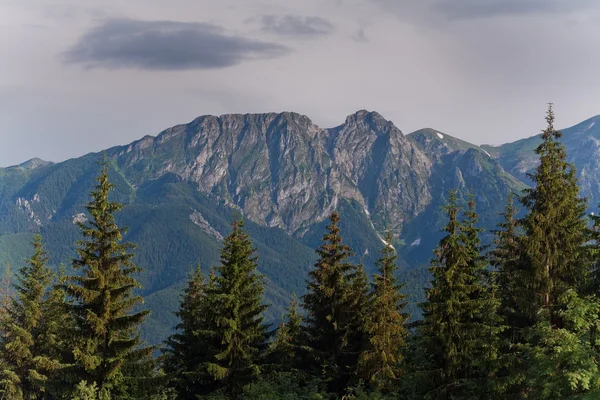Giewont van gubalowka. Tatra gebergte. Polen. — Stockfoto