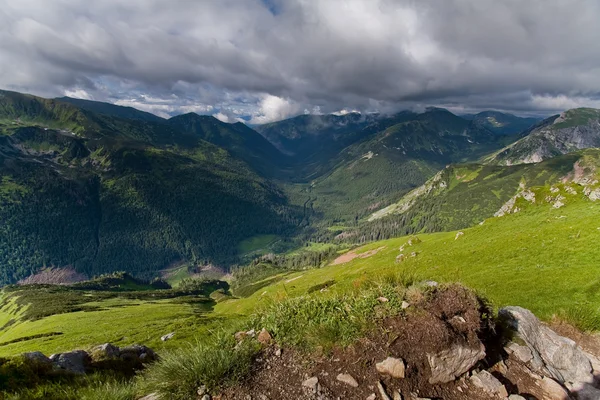 Ticha dolině tichý na Slovensku od czerwone wierchy. Stock Obrázky