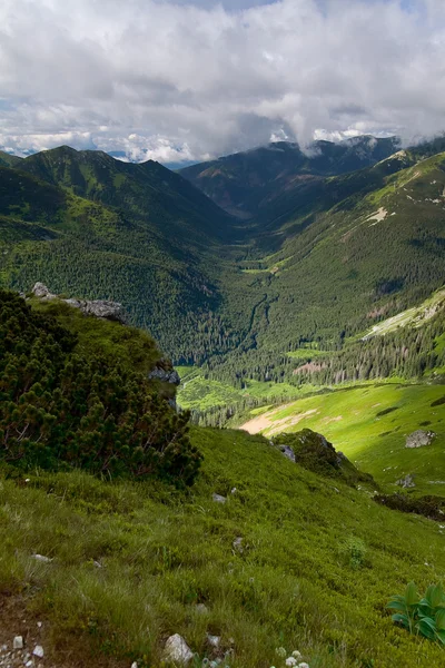 Ticha Dolina (Silent Valley) i Slovakien från Czerwone Wierchy. Tatrabergen. Polen — Stockfoto