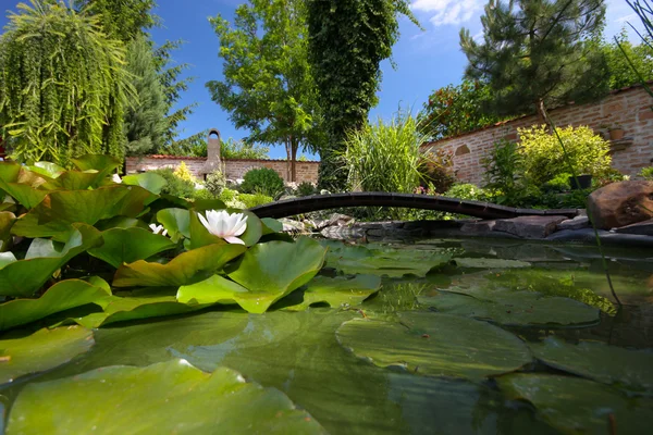 Stock image Garden