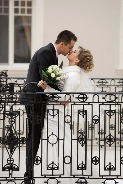 Svatební polibek — Stock fotografie