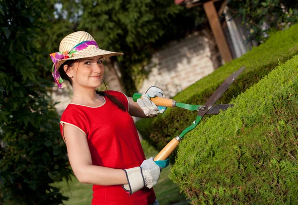 Mujer jardinero —  Fotos de Stock