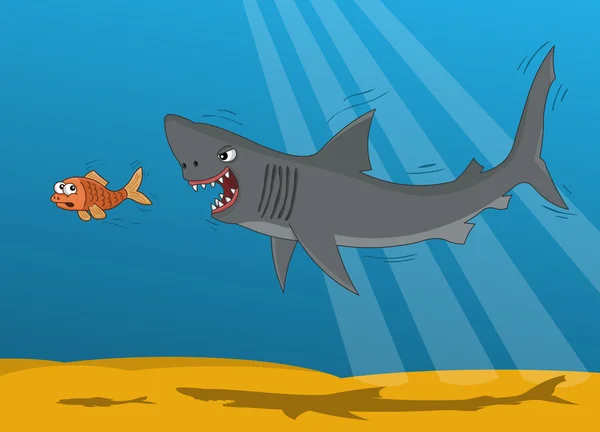 Requin et poisson — Image vectorielle