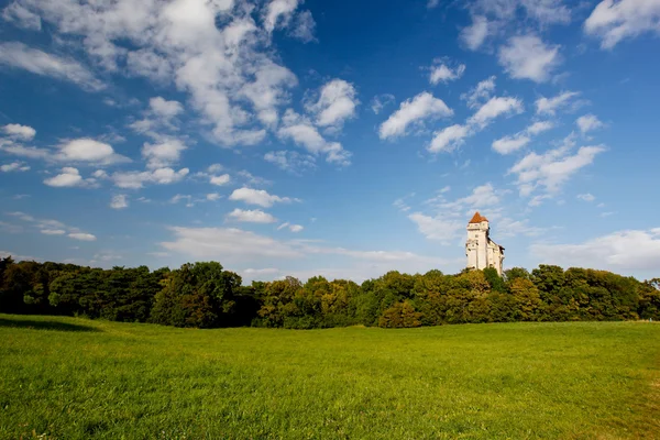 stock image Liechtenstein Castle - landscape