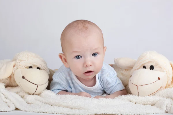 Édes baba kisfiú portréja — Stock Fotó