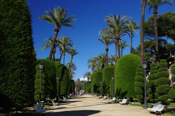 The Park Genoves. Cádiz —  Fotos de Stock