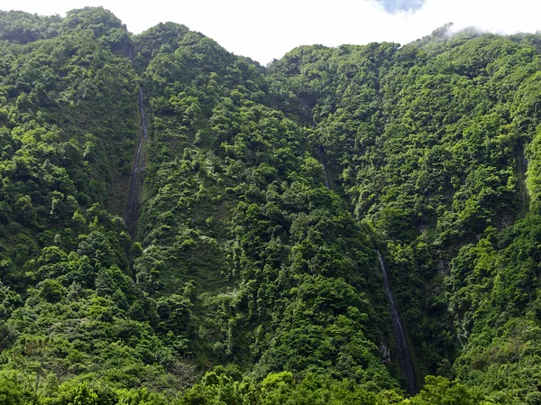 Waterfalls among rainy forest — Stock Photo, Image