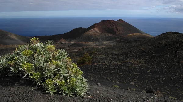 Volcán Tenuguia. La Palma —  Fotos de Stock