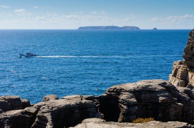 View of Berlenga Island clipart