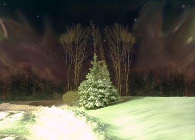Tree and aurora borealis clipart
