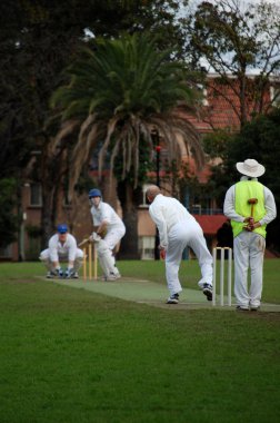 Cricket match clipart