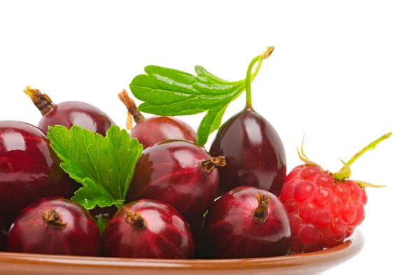 Vino uva spina rossa e il lampone — Foto Stock