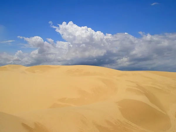 白色沙丘 — 图库照片