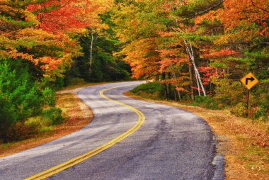Winding Autumn Road clipart