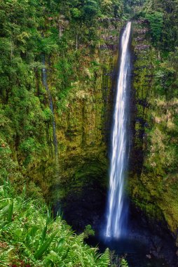 Akaka Falls Hawaii clipart