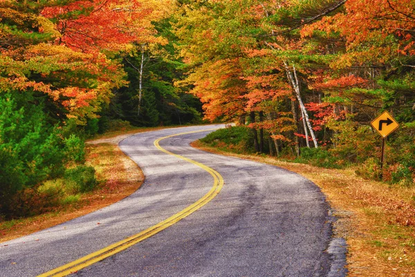 Kanyargós őszi út Stock Kép