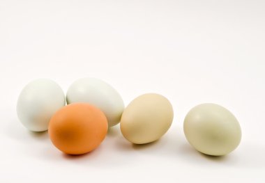 Colorful eggs on white