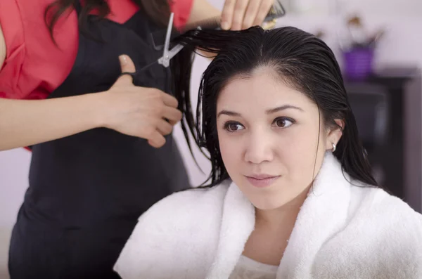 Peluquería femenina cortando el pelo del cliente — Foto de Stock