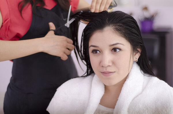 Female hairdresser cutting client's hair