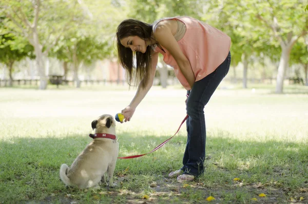 Милая девушка играет в мяч со своей собакой — стоковое фото