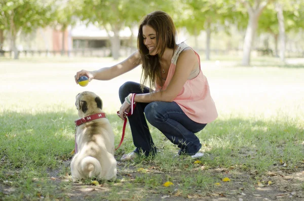 Ragazza carina giocare a palla con il suo cane — Foto Stock