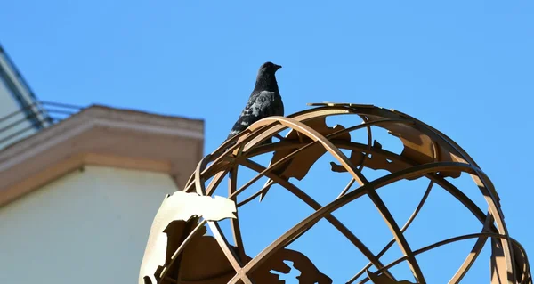 동상에 비둘기 — 스톡 사진