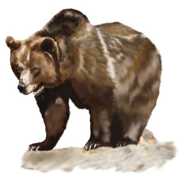 Brown Bear clipart