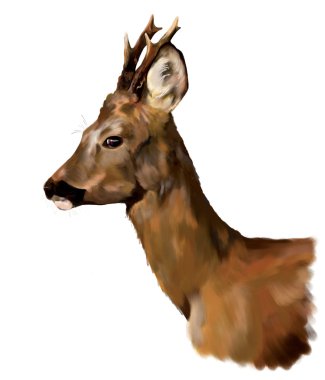 Deer head on a white background clipart