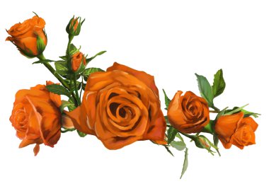 Orange rose clipart