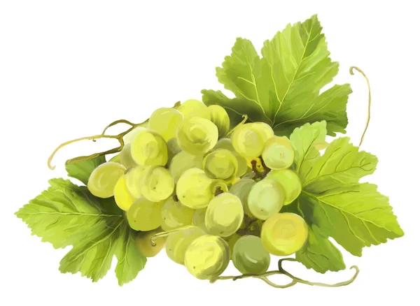 stock image Tuft of white wine on a white background