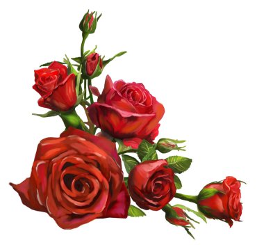 Red roses clipart