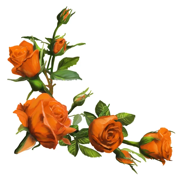 Помаранчева троянда — стокове фото