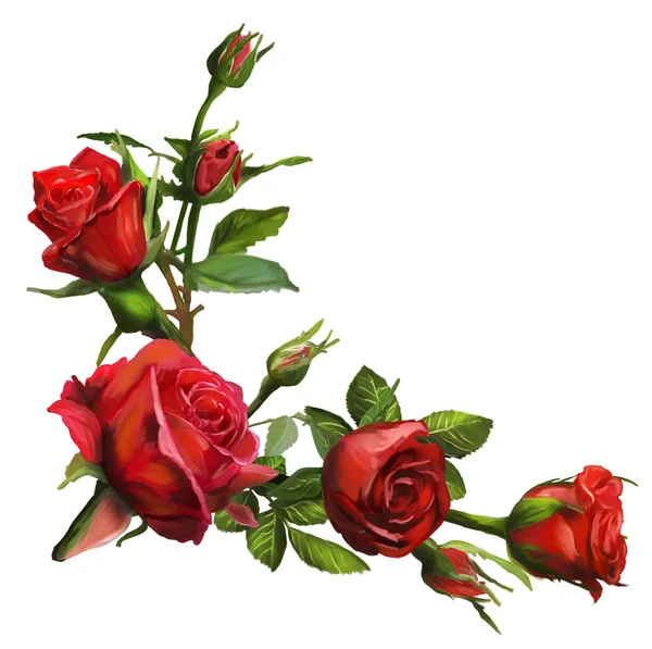 Κόκκινα τριαντάφυλλα — Φωτογραφία Αρχείου