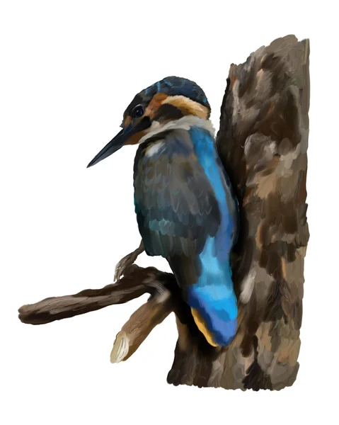 Blue kingfisher on a branch — Stock Photo, Image