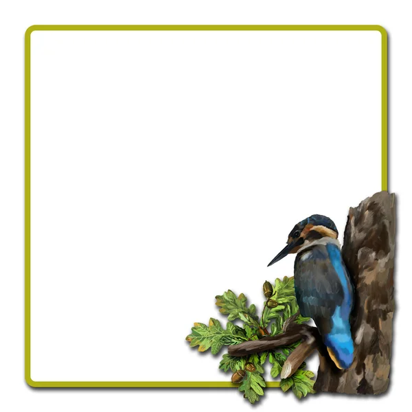 Blue kingfisher on a branch — Stock Photo, Image