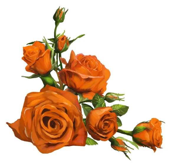 橙色玫瑰 免版税图库图片