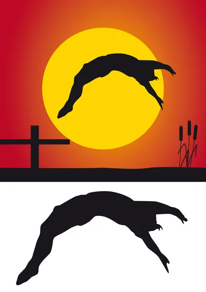 Silhouette diving — Stock Photo, Image