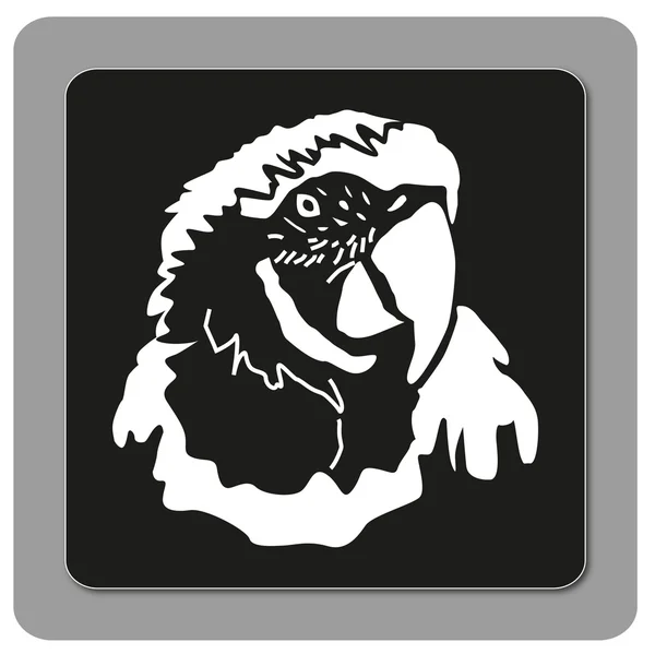 Head parrot ara — Stock Photo, Image