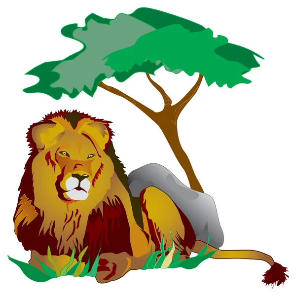 Rei leão deitado debaixo de uma árvore na grama — Fotografia de Stock