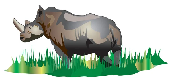 Rhino está esperando na grama — Fotografia de Stock