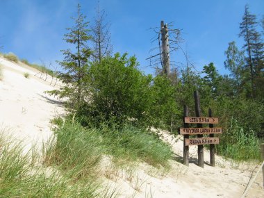 Leba Polonya - tatil Kum Çölü