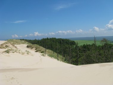 Leba Polonya - tatil Kum Çölü